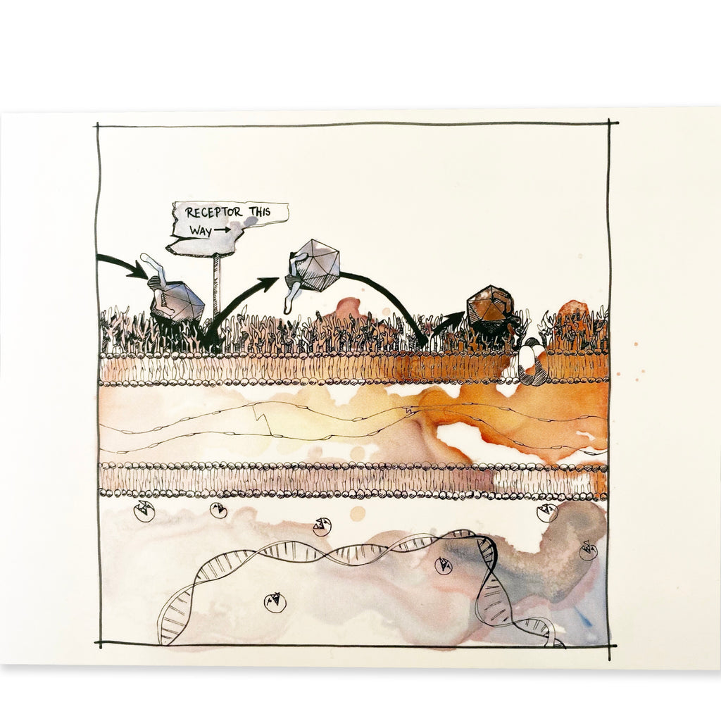Thinking Like A Phage | Postcard Pack - The Vindur Shop